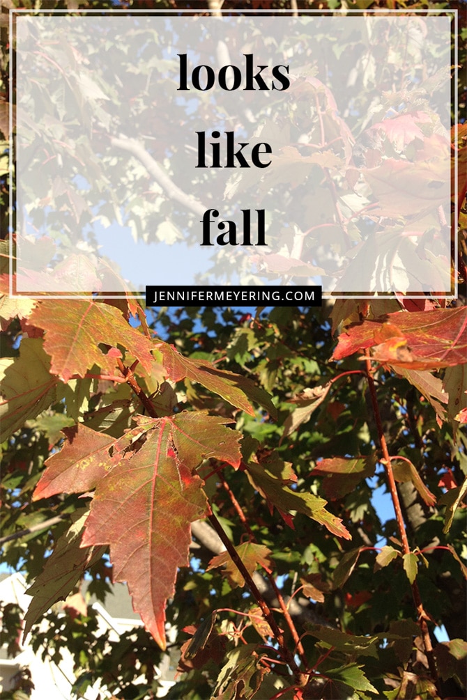 Looks like Fall! - JenniferMeyering.com