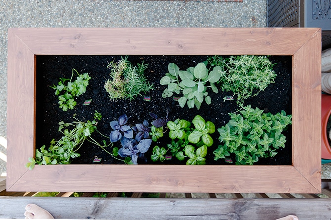 Diy Raised Garden Planter Box