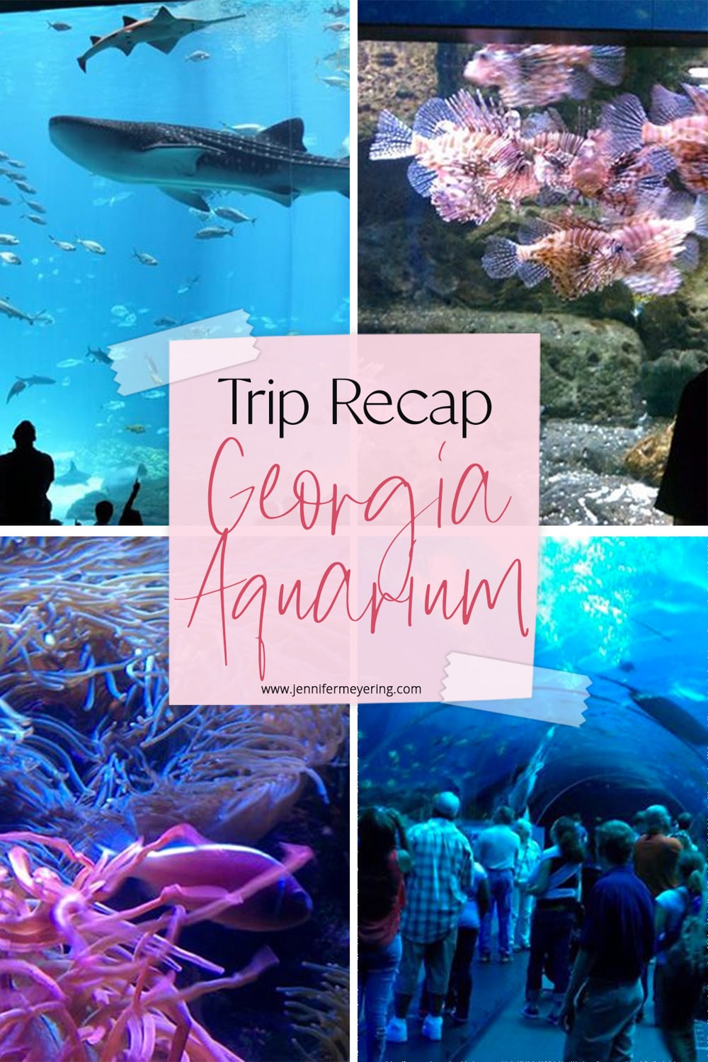 The Georgia Aquarium Trip Recap - JenniferMeyering.com