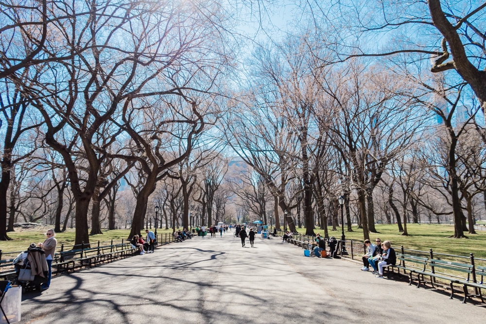 5 Days In New York City - Central Park