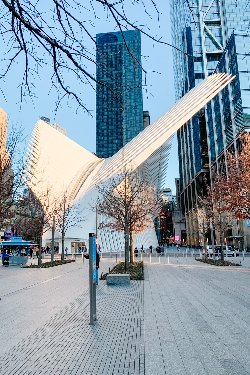 5 Days In New York City - The Oculus
