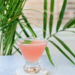 Salted Watermelon Martini