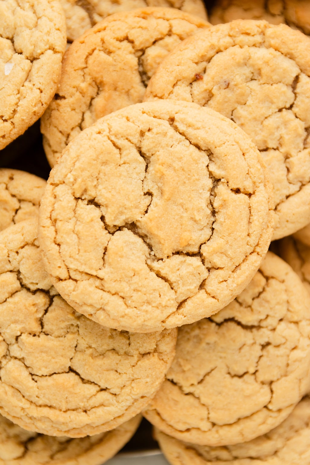 Brown Sugar Cookies 12 Brown Sugar Cookies