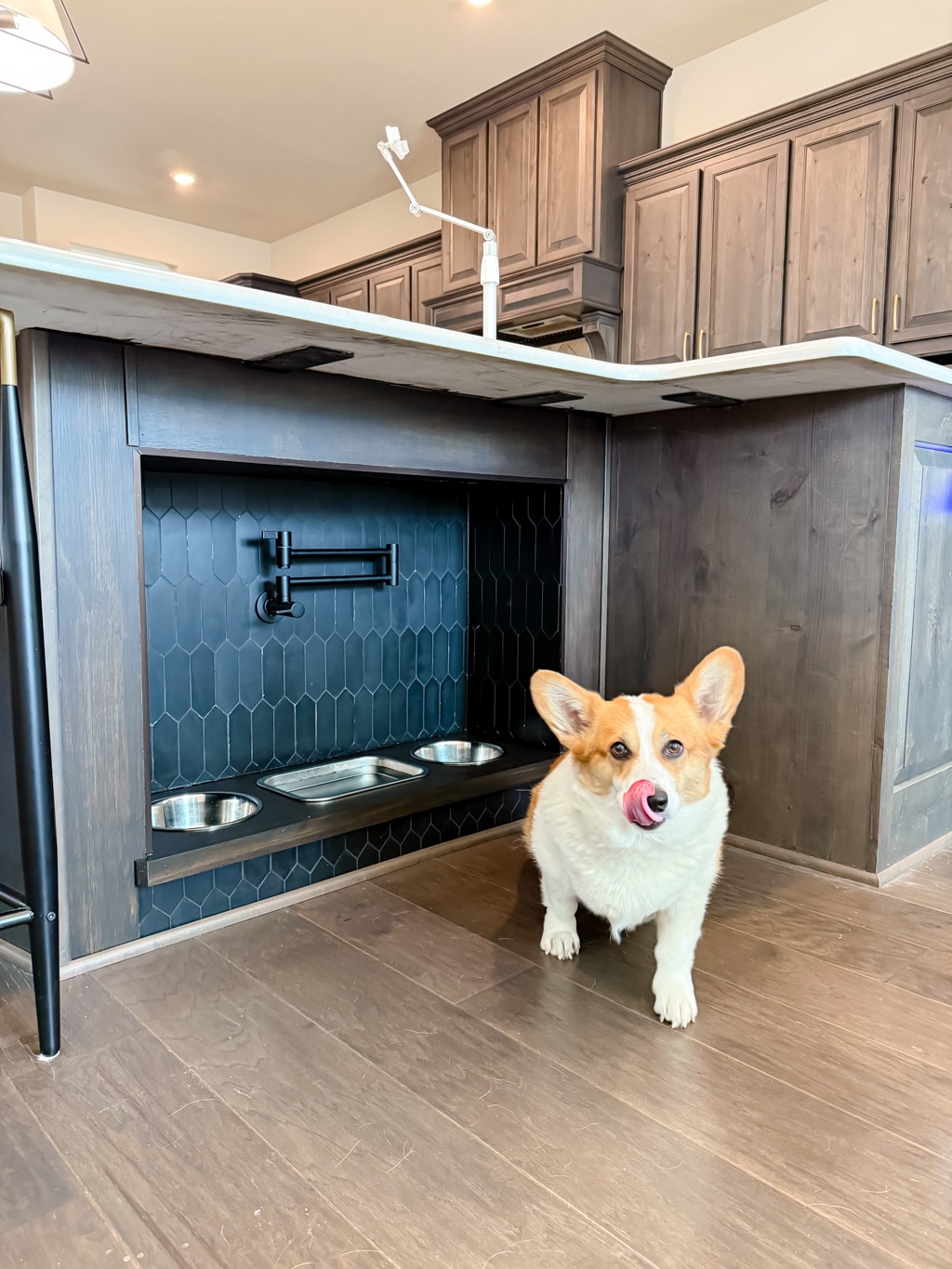 Built-In Dog Feeding Station