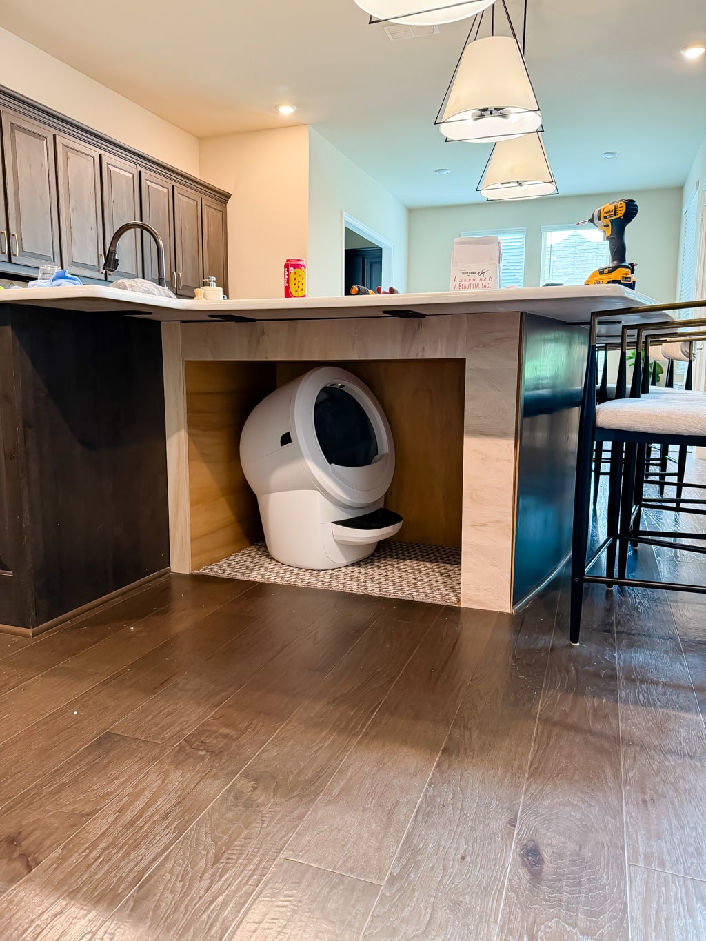 Diy Hidden Litter Box Cabinet 9 Built In Cat Box Closet 12