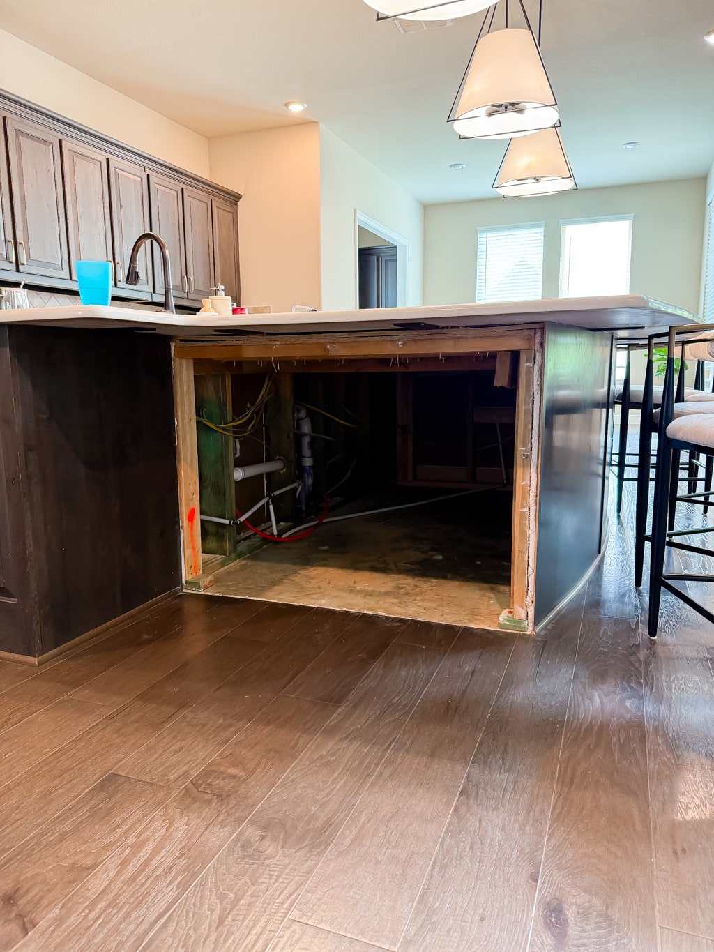 Diy Hidden Litter Box Cabinet 4 Built In Cat Box Closet 3