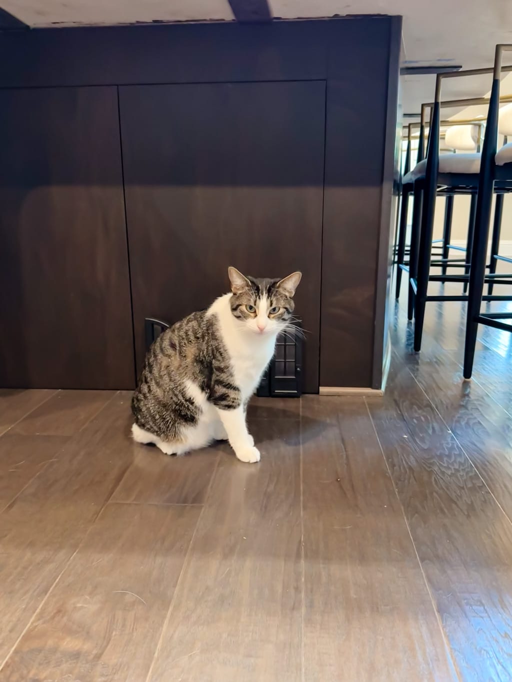 DIY Hidden Litter Box Cabinet