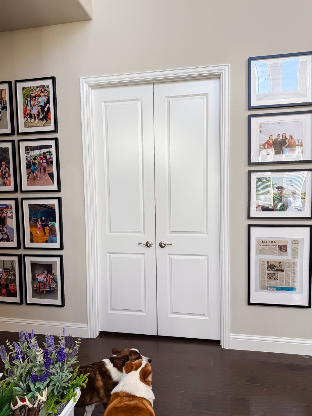DIY French Door Installation: Office Door Makeover - Jennifer Meyering, image size:1024x1365