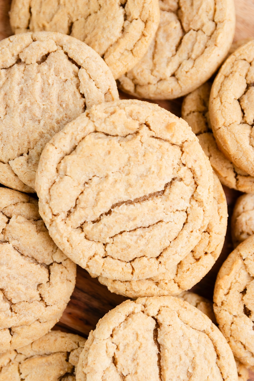 Espresso Sugar Cookies 13 Espresso Sugar Cookies