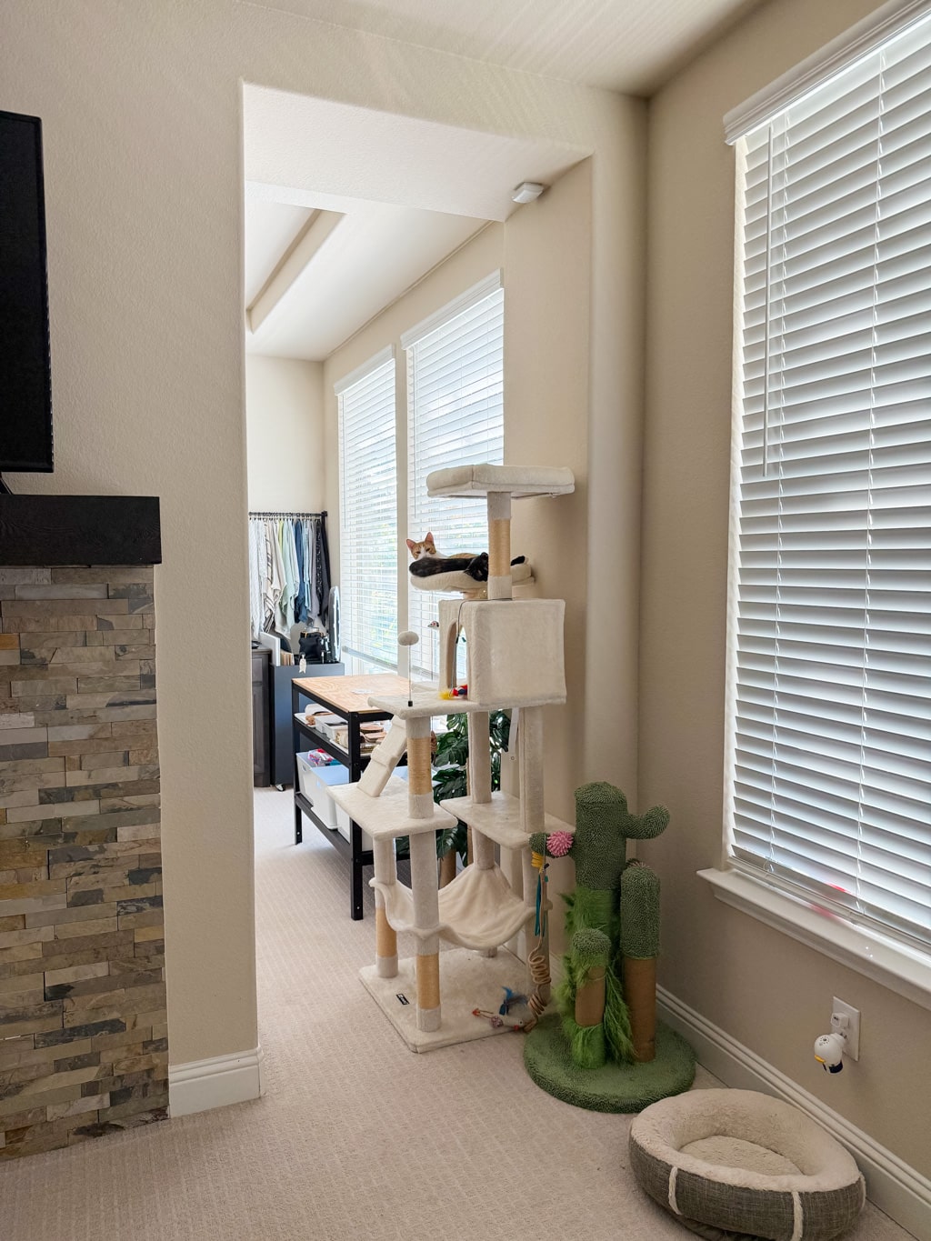 Diy Built-In Cat Condo: The Ultimate Cat Tree &Amp; Scratching Post 1 Diy Built-In Cat Condo: The Ultimate Cat Tree &Amp; Scratching Post 2